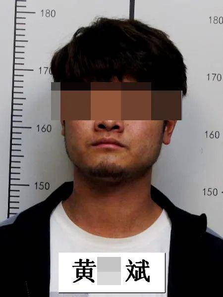 偷越边境罪情节严重的怎么处理（偷越边境罪量刑标准） 第3张
