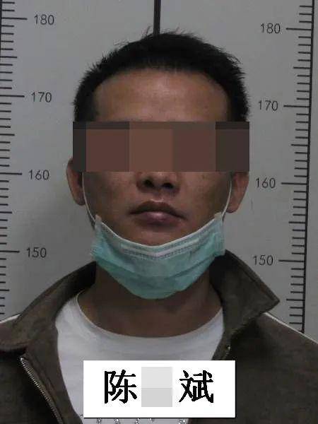 偷越边境罪情节严重的怎么处理（偷越边境罪量刑标准） 第15张