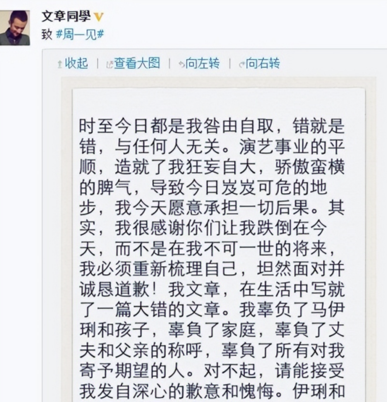 文章离婚了吗（文章马伊琍什么时候离婚） 第33张