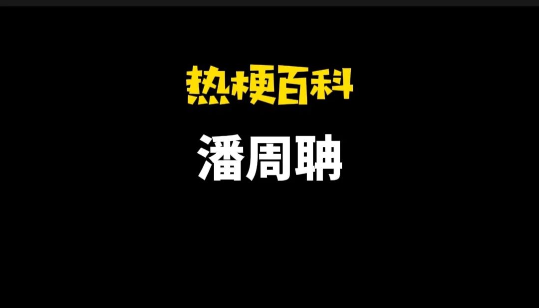 潘周聃什么梗（“潘周聃”梗含义及出处介绍） 第1张