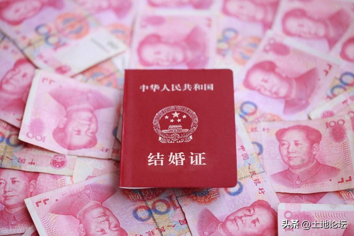 婚姻法关于退还彩礼（民法典离婚彩礼返还标准） 第3张