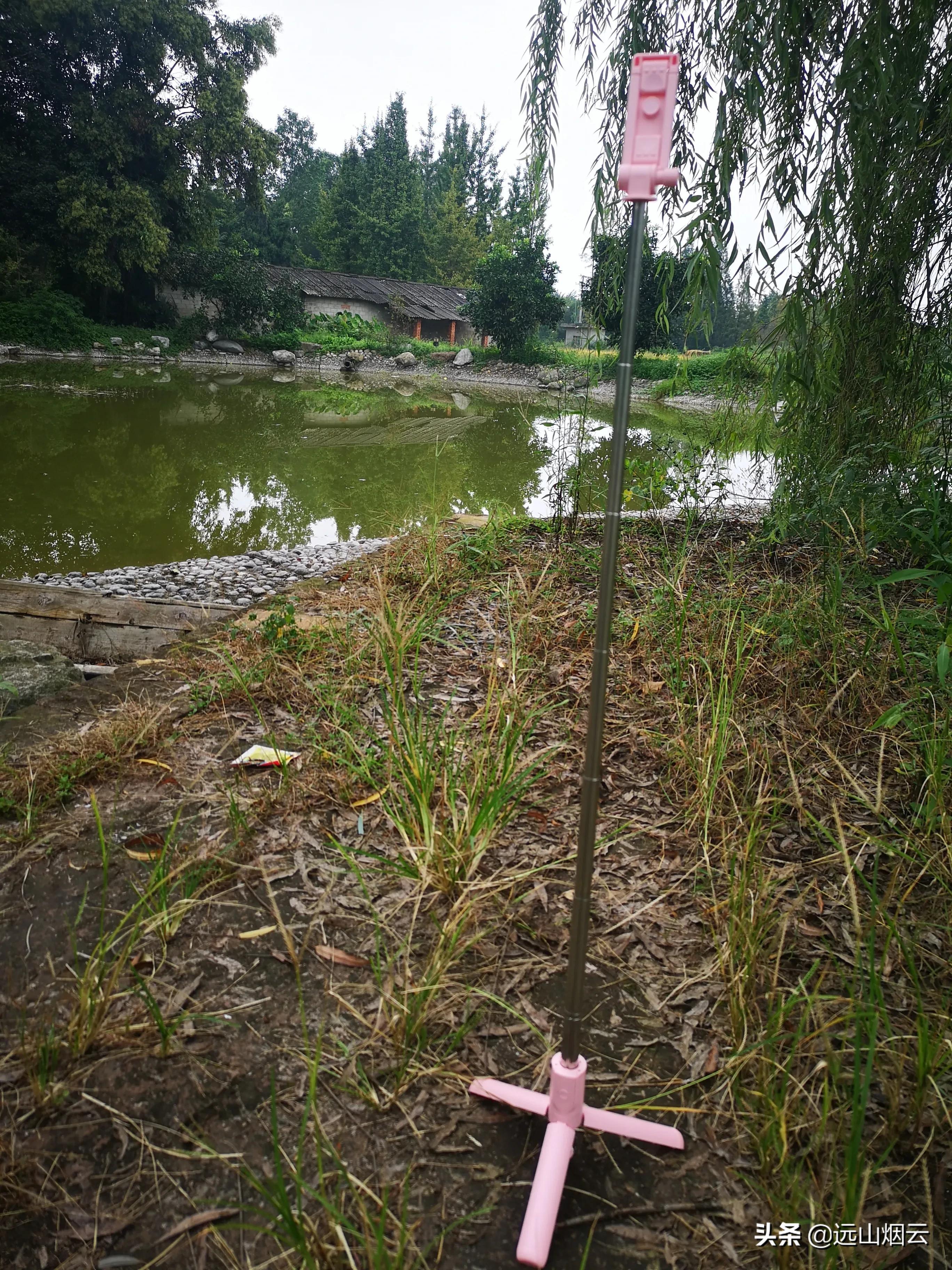 自拍器怎么使用（使用自拍杆的方法） 第15张