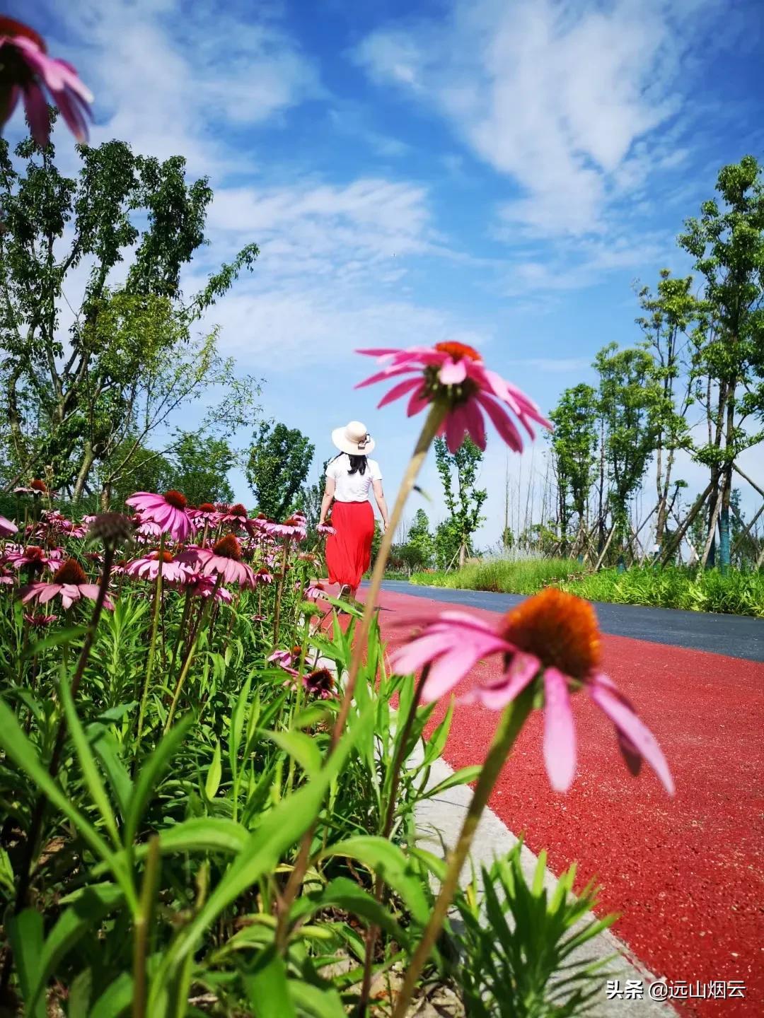 自拍器怎么使用（使用自拍杆的方法） 第23张
