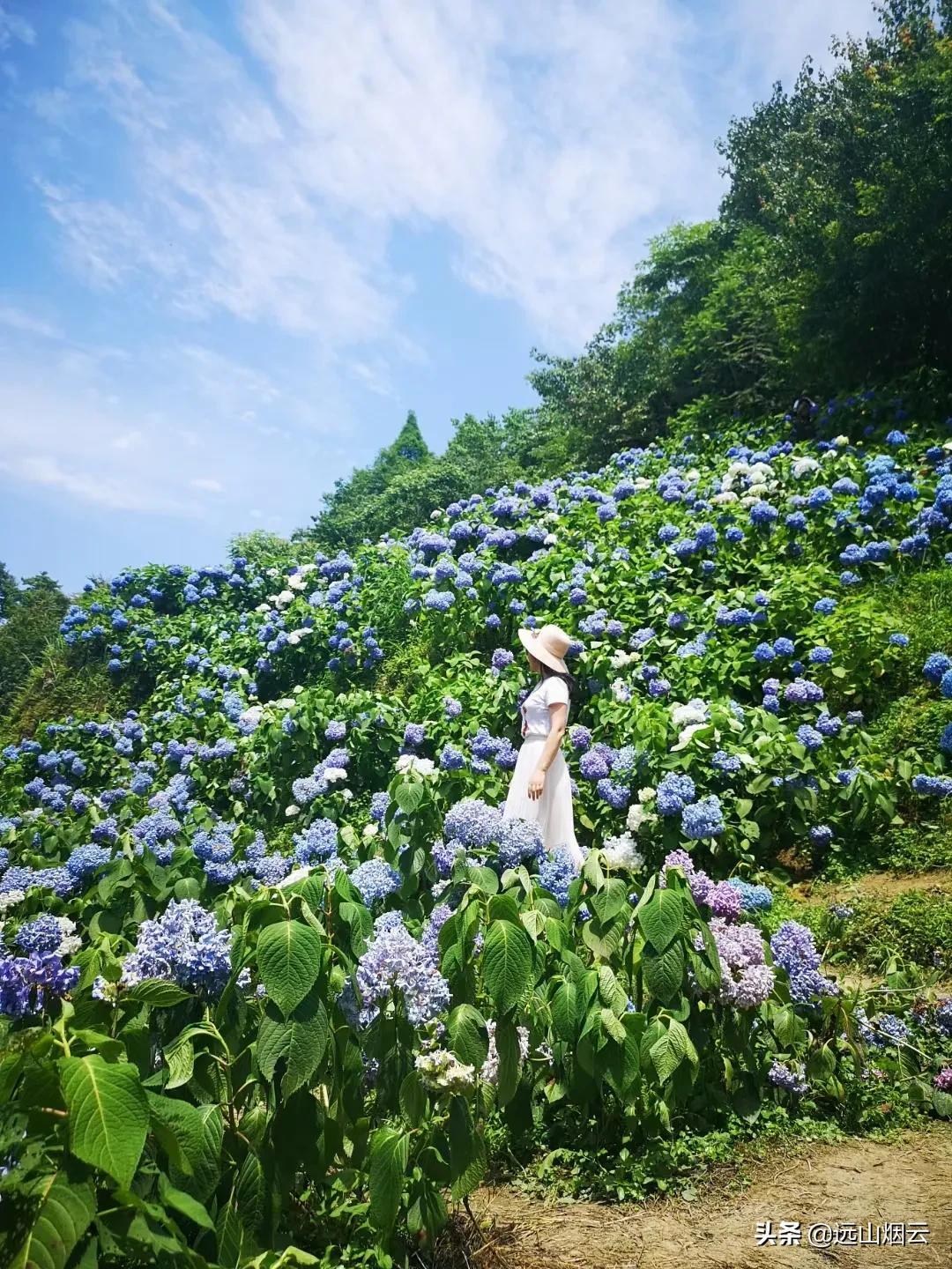 自拍器怎么使用（使用自拍杆的方法） 第25张
