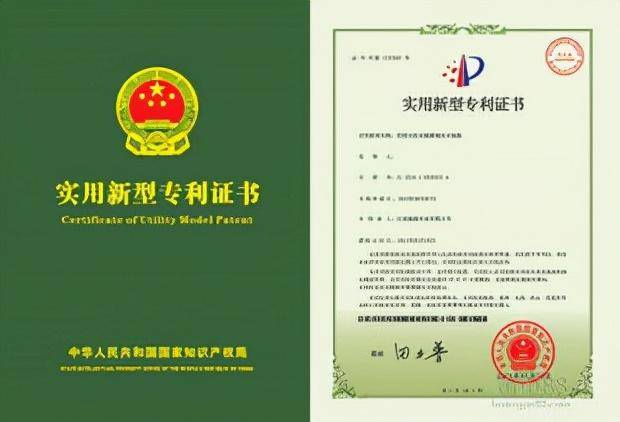 专利是什么意思怎么解释（法律上专利的名词解释） 第5张