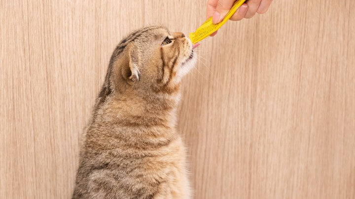你家猫猫狗狗吃的饭，可能添加了濒危物种 第5张