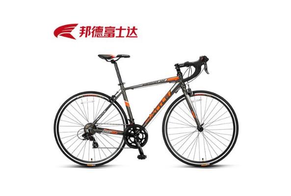 自行车都有什么品牌,十大自行车品牌 第15张