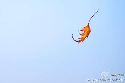 个表白数学题帮你脱单「520表白场地盘点」"