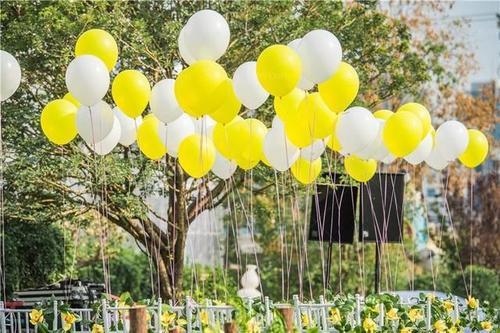 个表白数学题帮你脱单「520表白场地盘点」"