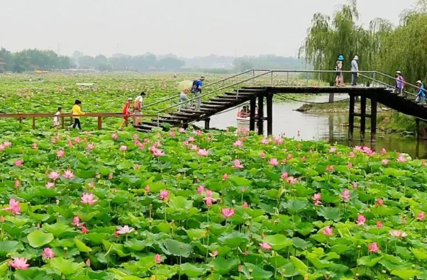 河北省十大旅游景点排行榜 河北旅游景点有哪些 第3张