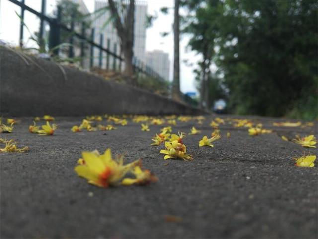 怀疑老公出轨怎么办（出轨的男人一般有这些表现可作参考） 第3张