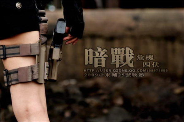香港经典黑帮警匪类电影排行,香港十大警匪片排名 第7张