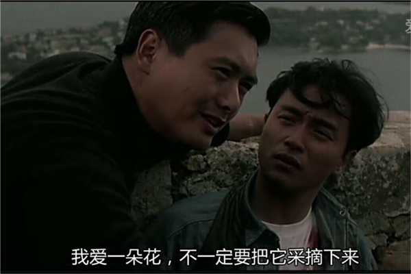 香港经典黑帮警匪类电影排行,香港十大警匪片排名 第15张