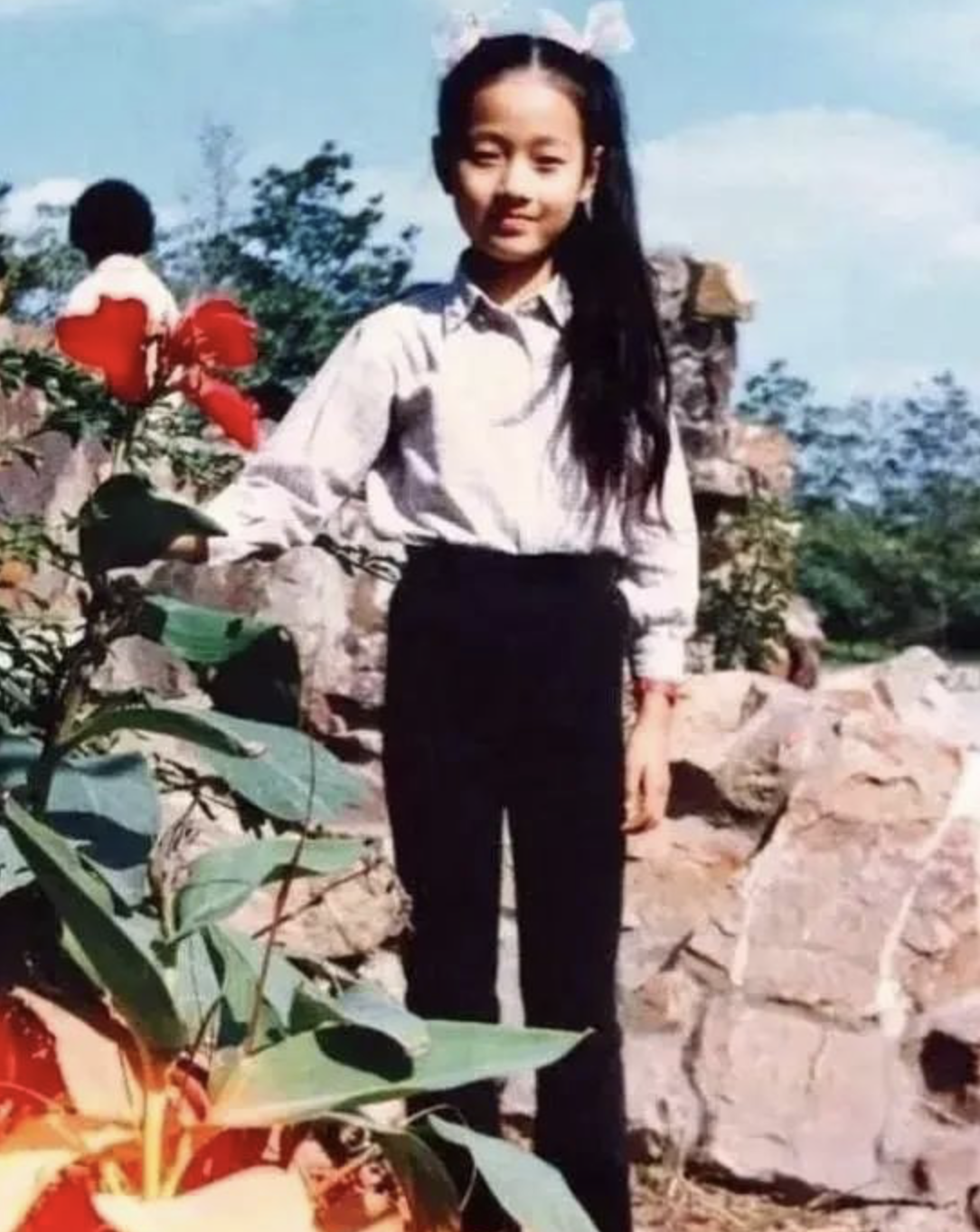 文章离婚了吗（文章马伊琍什么时候离婚） 第7张