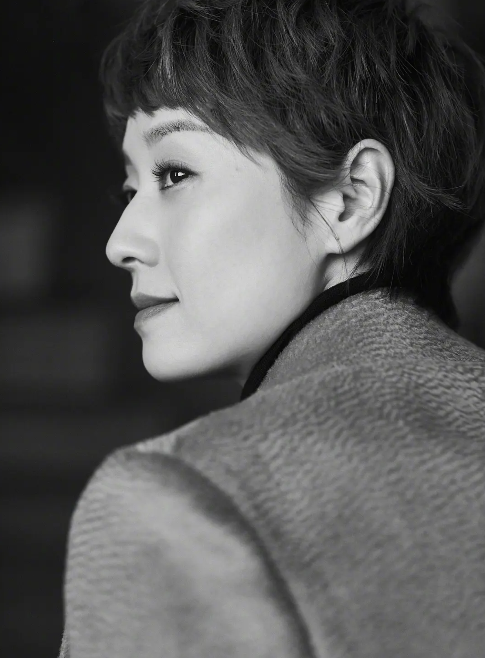 文章离婚了吗（文章马伊琍什么时候离婚） 第1张