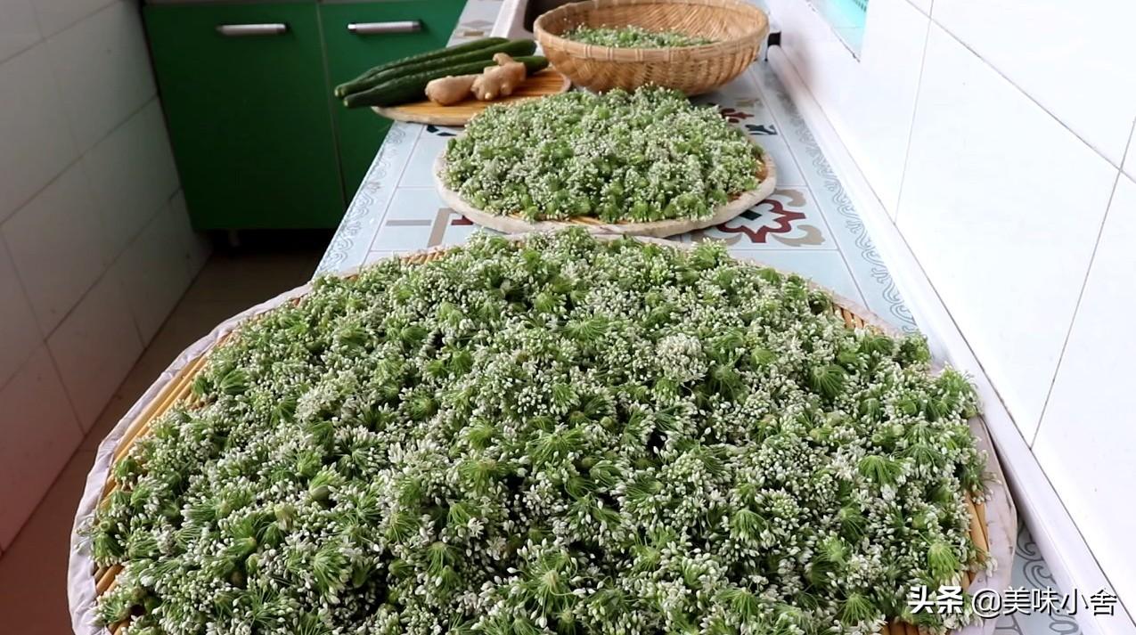 韭菜花的腌制方法及步骤（盘点韭菜花的正确腌制方法） 第3张