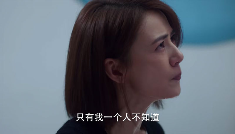 完美伴侣：陈珊为何突然要离婚？因为流产？只因孙磊犯下致命错误 第7张