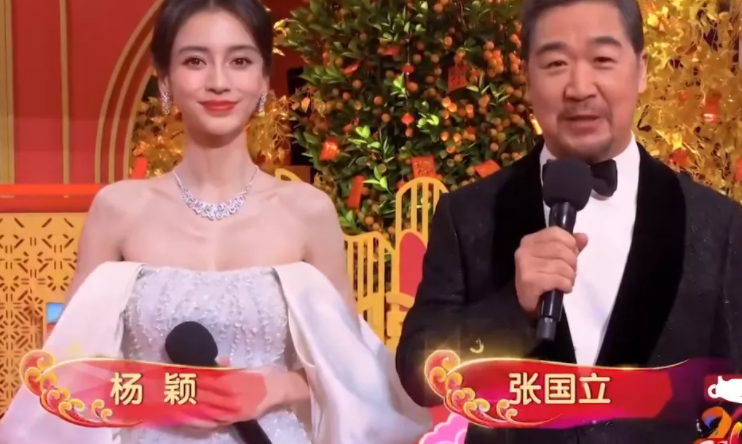 杨颖个人资料（身价过亿的杨颖没你想得那么简单） 第69张