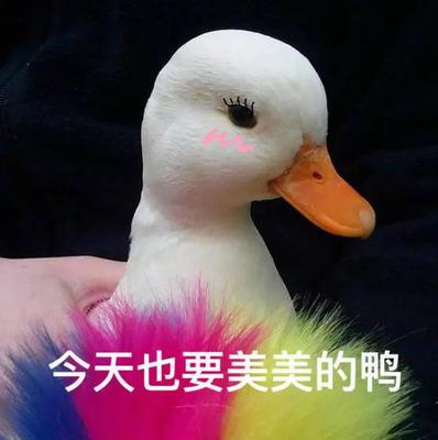 如何清洗粉扑和化妆蛋（美妆蛋的正确清洗方法） 第1张
