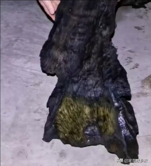 乌木为什么值钱呢（ 正宗乌木手串价格了解） 第3张