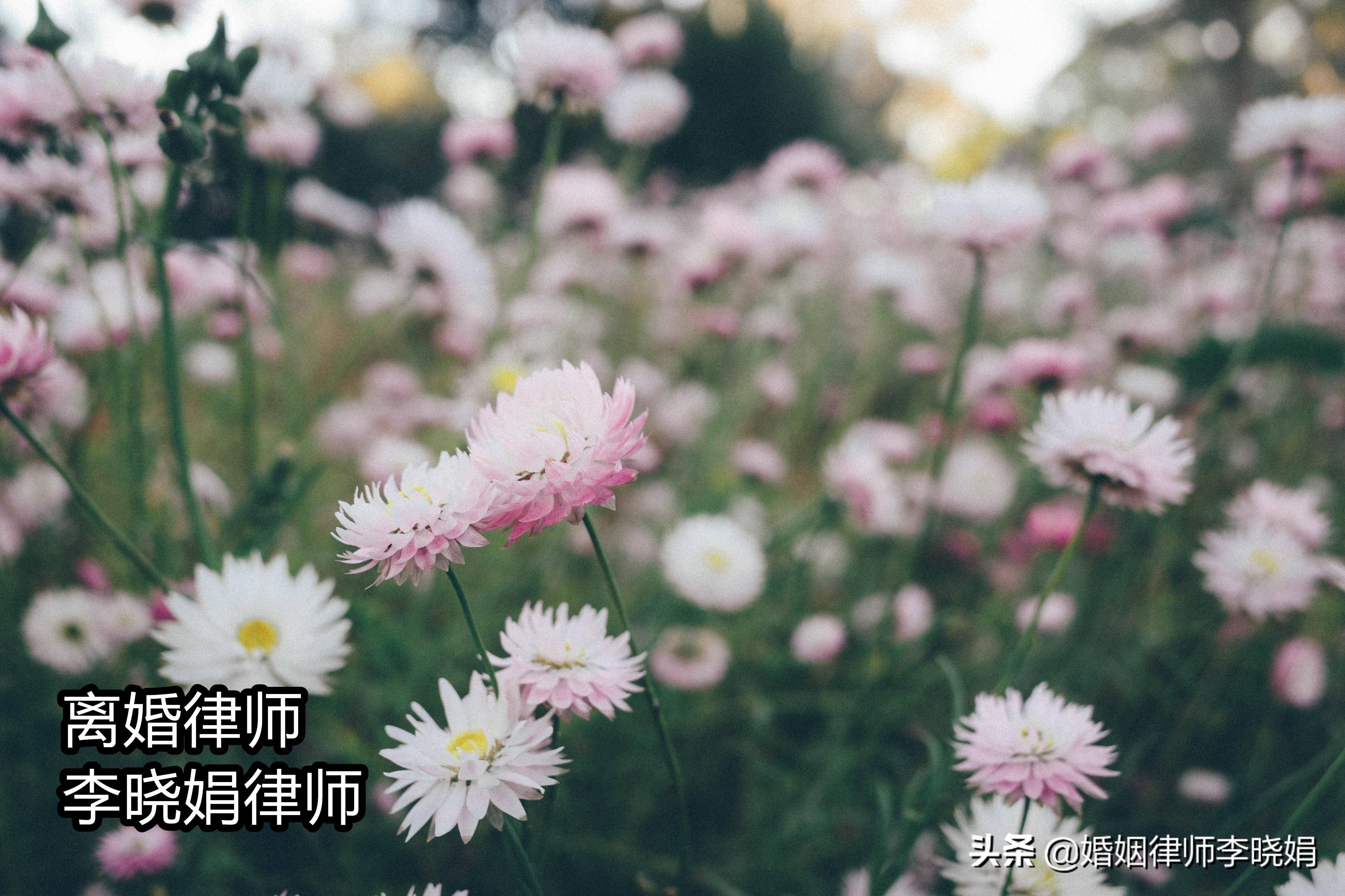 起诉离婚立案需要多少钱（离婚立案费用收费标准） 第3张