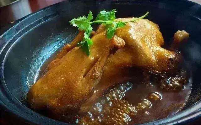 鸭肉怎么做好吃又简单（鸭肉的家常做法大全） 第9张