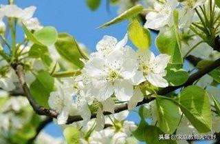 如何解决代沟问题（消除代沟的方法建议） 第1张