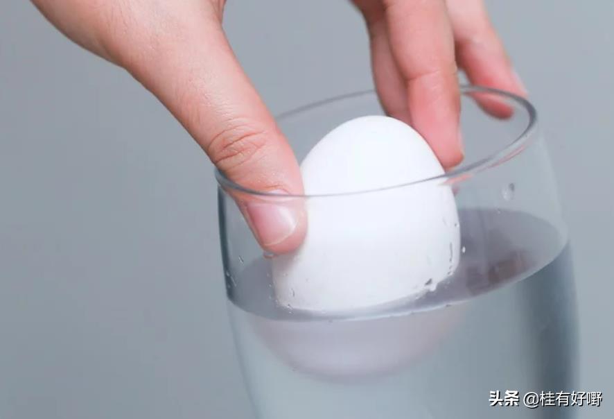 怎么判断鸡蛋坏没坏（教你三招轻松辨别鸡蛋的好坏） 第1张