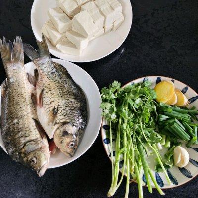 鲤鱼豆腐汤怎么做好吃（家常鲫鱼豆腐汤做法） 第9张