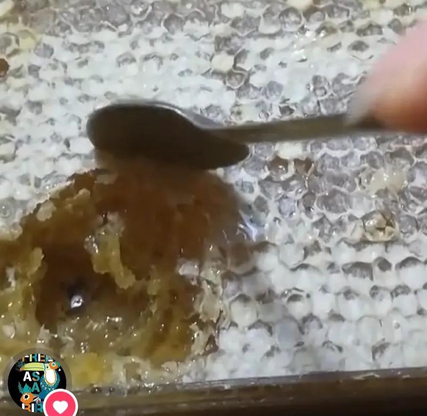 正宗蜂蜜怎么分辨正确（鉴别蜂蜜真假的超简单方法） 第13张