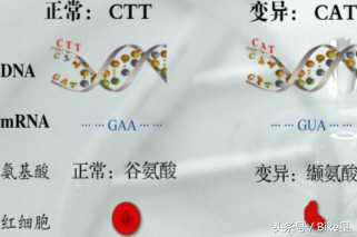 做一份亲子鉴定需要多少钱（做亲子鉴定收费明细） 第3张