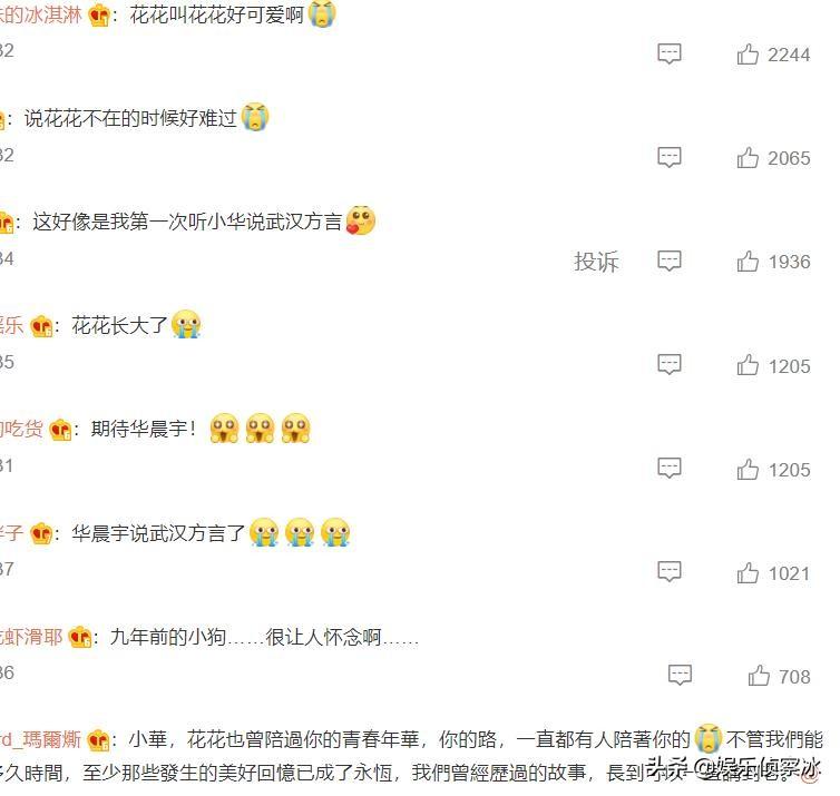 华晨宇真名叫什么（附：华晨宇外号叫花花的原因） 第5张
