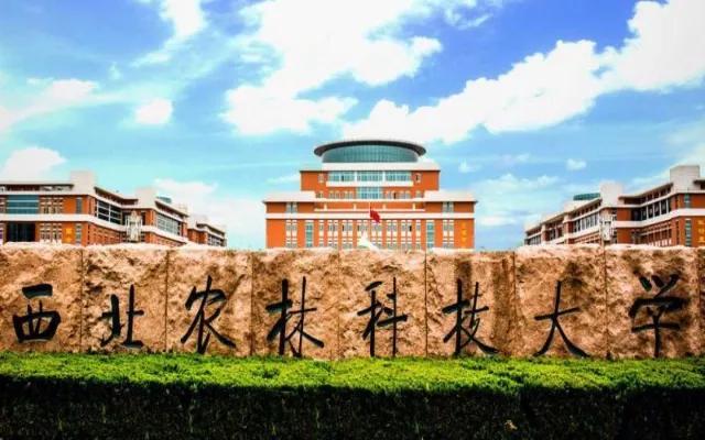 600分左右能上什么好的大学（600上下分数段高校推荐） 第3张