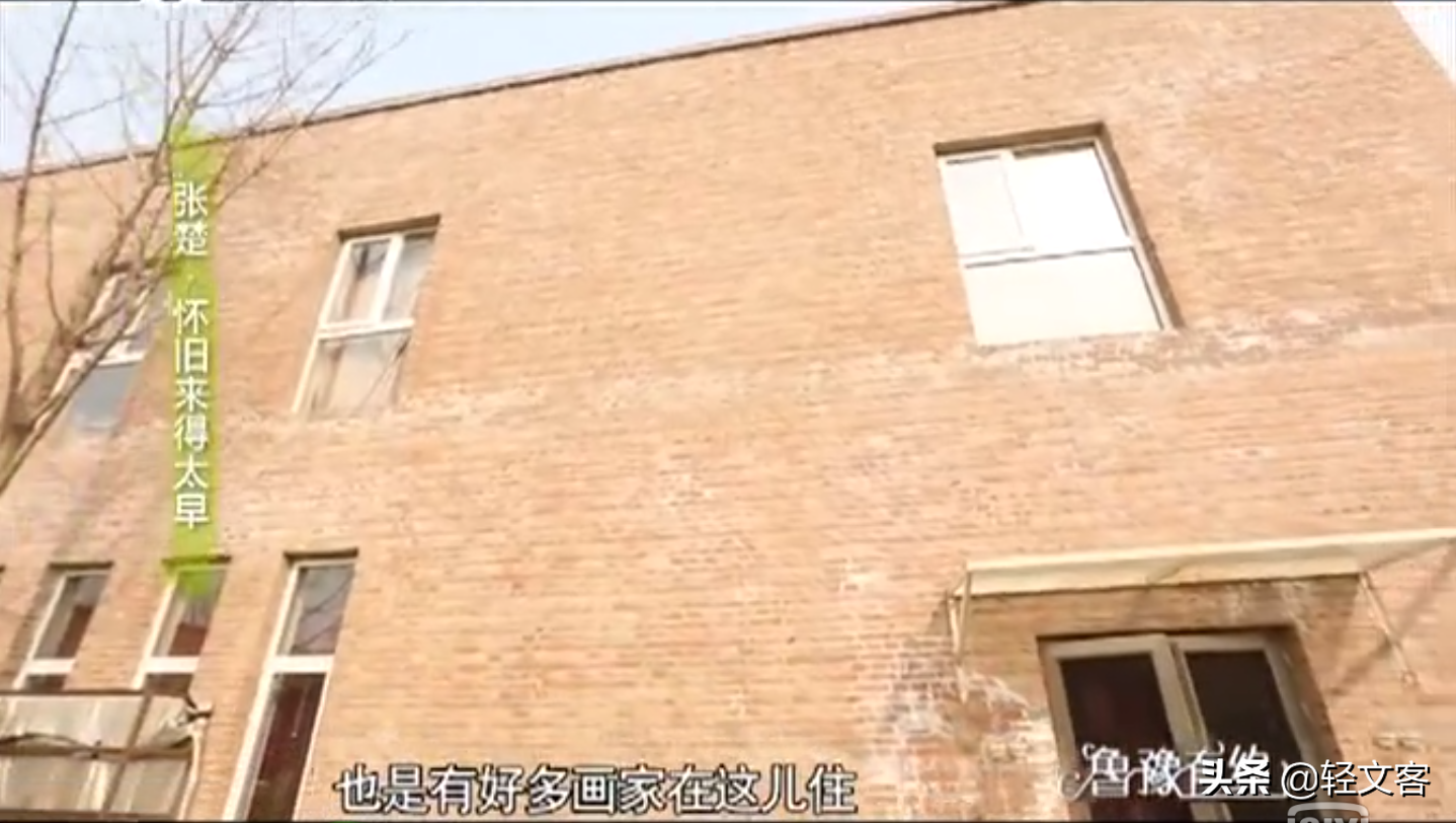张楚的个人资料简介（一文读懂张楚的自我救赎） 第35张