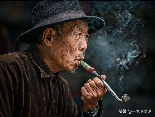 狗最怕的三个手势（解读狗怕人背手原因） 第1张