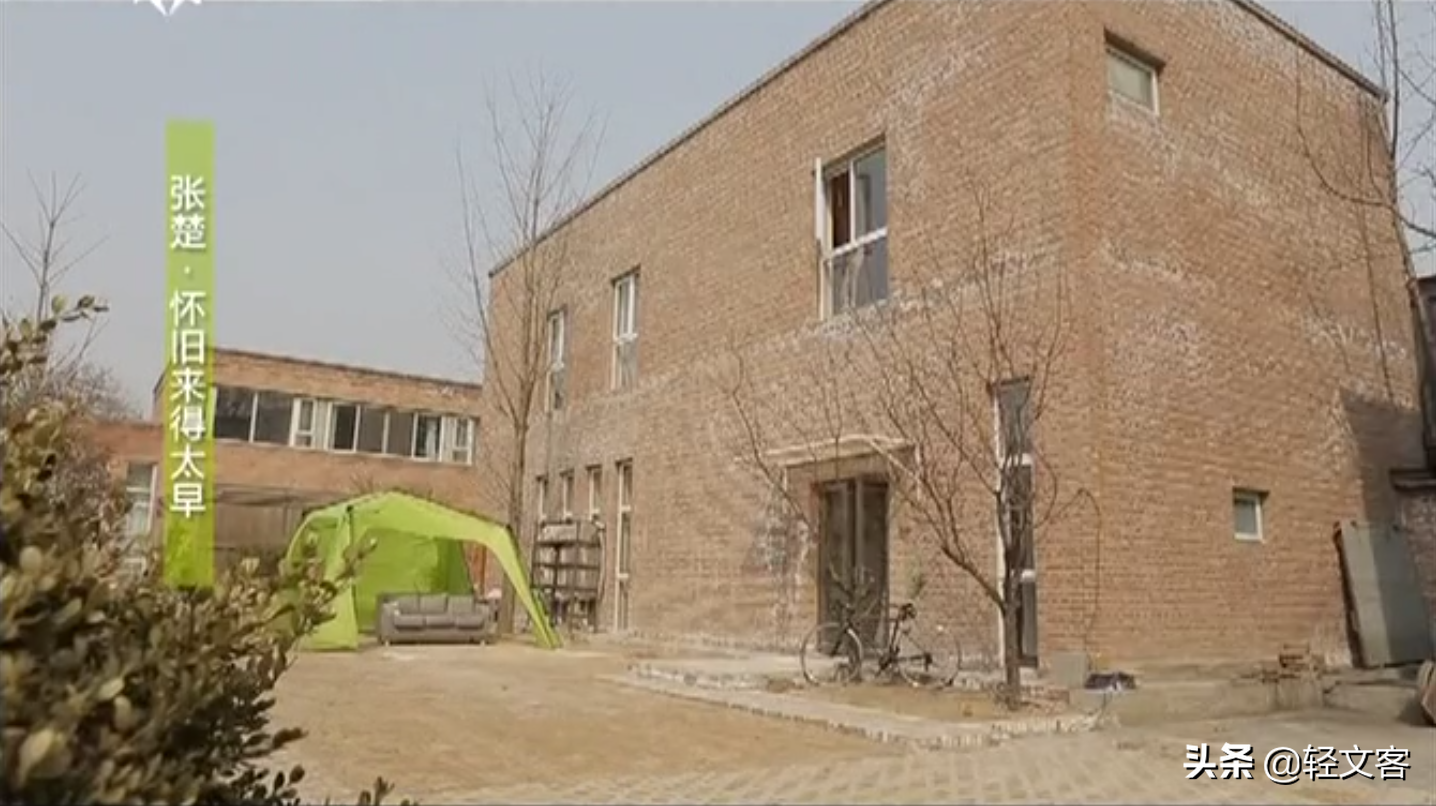 张楚的个人资料简介（一文读懂张楚的自我救赎） 第37张