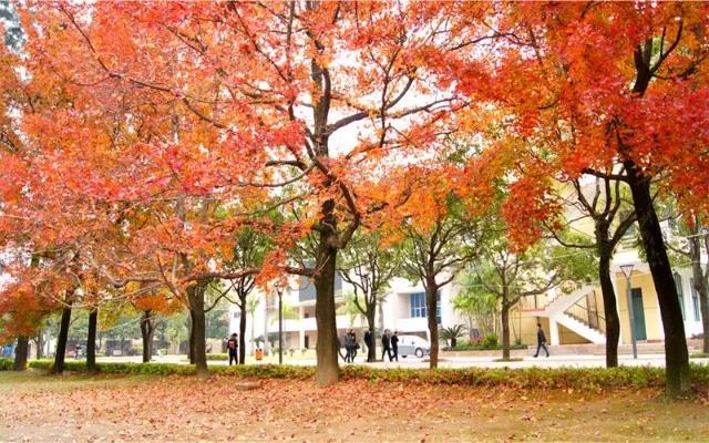 600分左右能上什么好的大学（600上下分数段高校推荐） 第47张