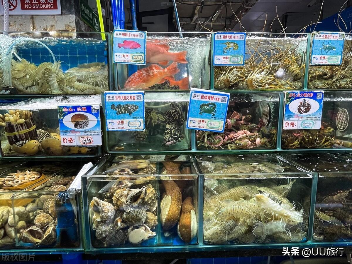 三亚旅游攻略必去景点推荐（盘点三亚最值得去的10处景点） 第23张