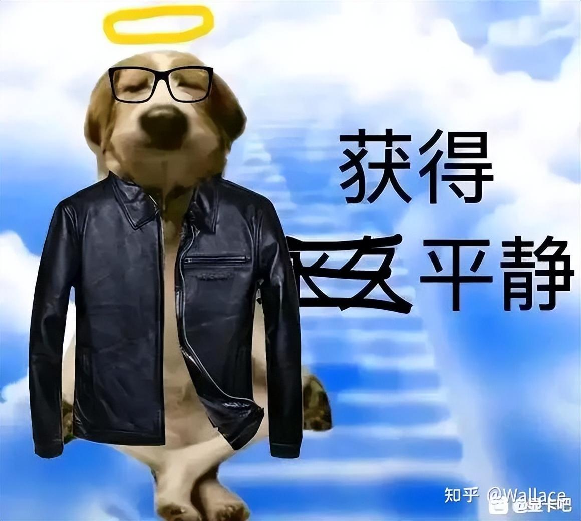 最新显卡4090多少钱一个（RTX 4090售价介绍） 第5张