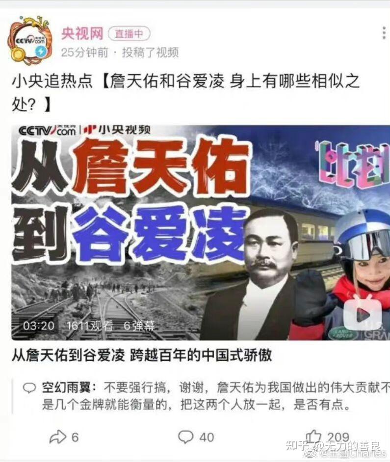 双重国籍的奥运冠军，谷爱凌不过是个生意人 第15张
