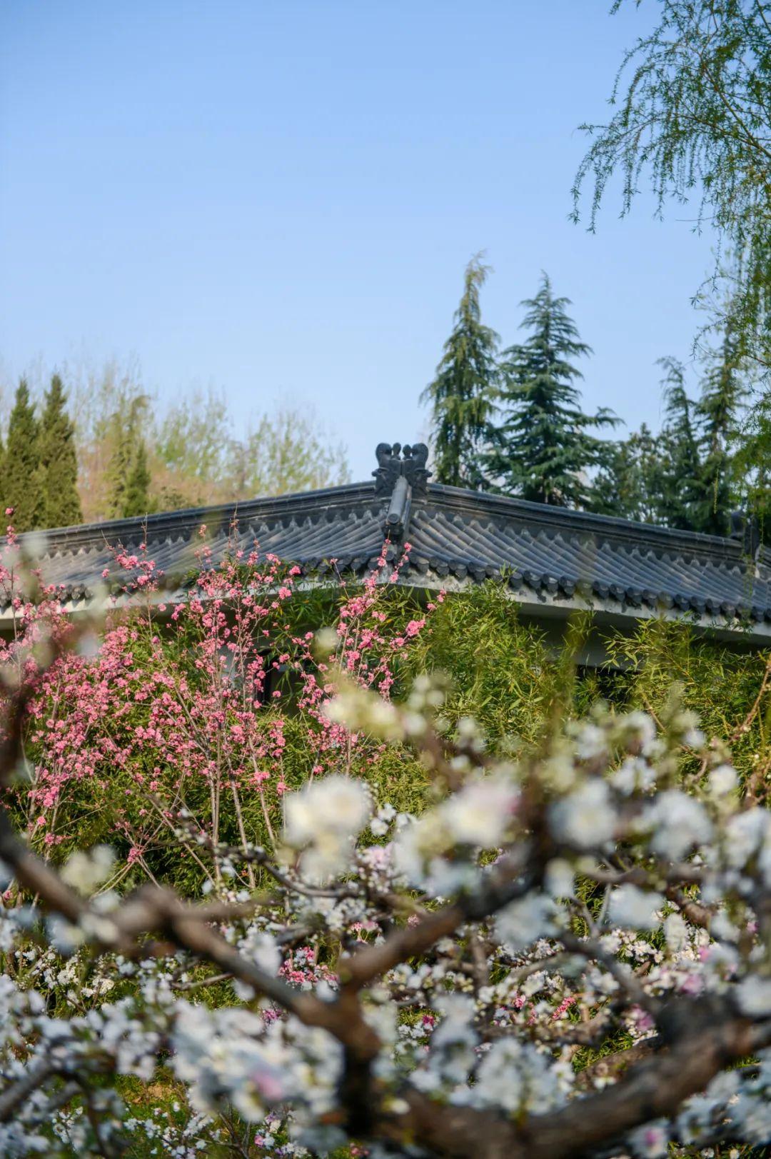 济南有什么好玩的地方景点（济南必去十大网红打卡地推荐） 第69张
