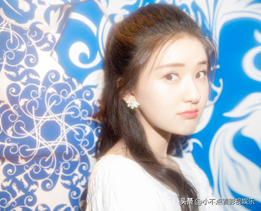 赵露思为什么被全网封（起底赵露思惨遭封杀缘由） 第15张