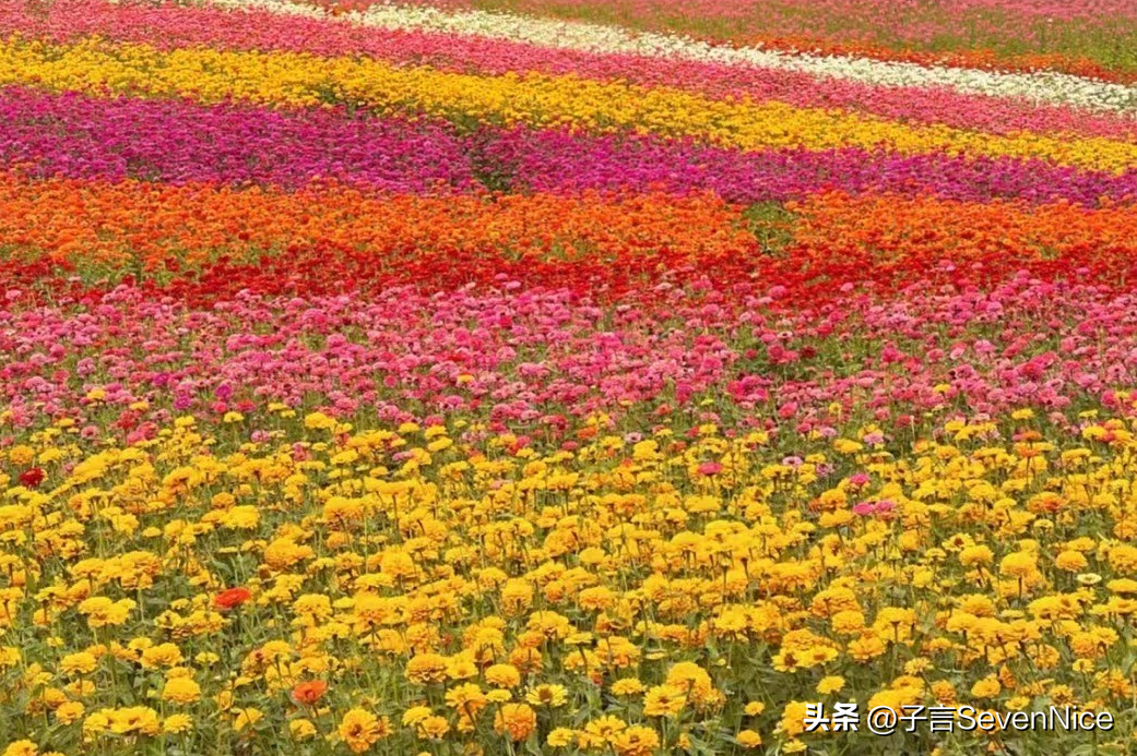 南昌有什么好玩的地方（盘点南昌10个踏青好去处） 第37张