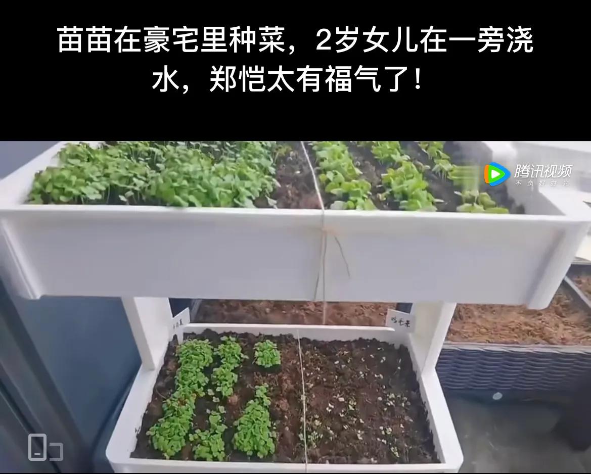 程晓玥郑恺为什么分手（郑恺爆料：分手因女方不满意） 第3张