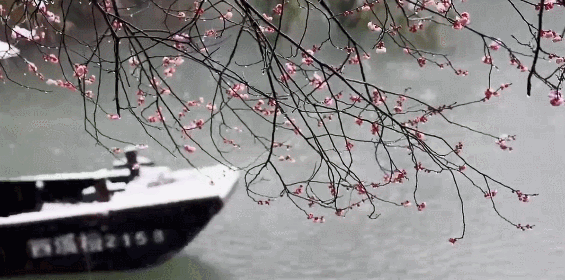 西溪湿地好玩吗（附：西溪湿地游玩攻略） 第1张