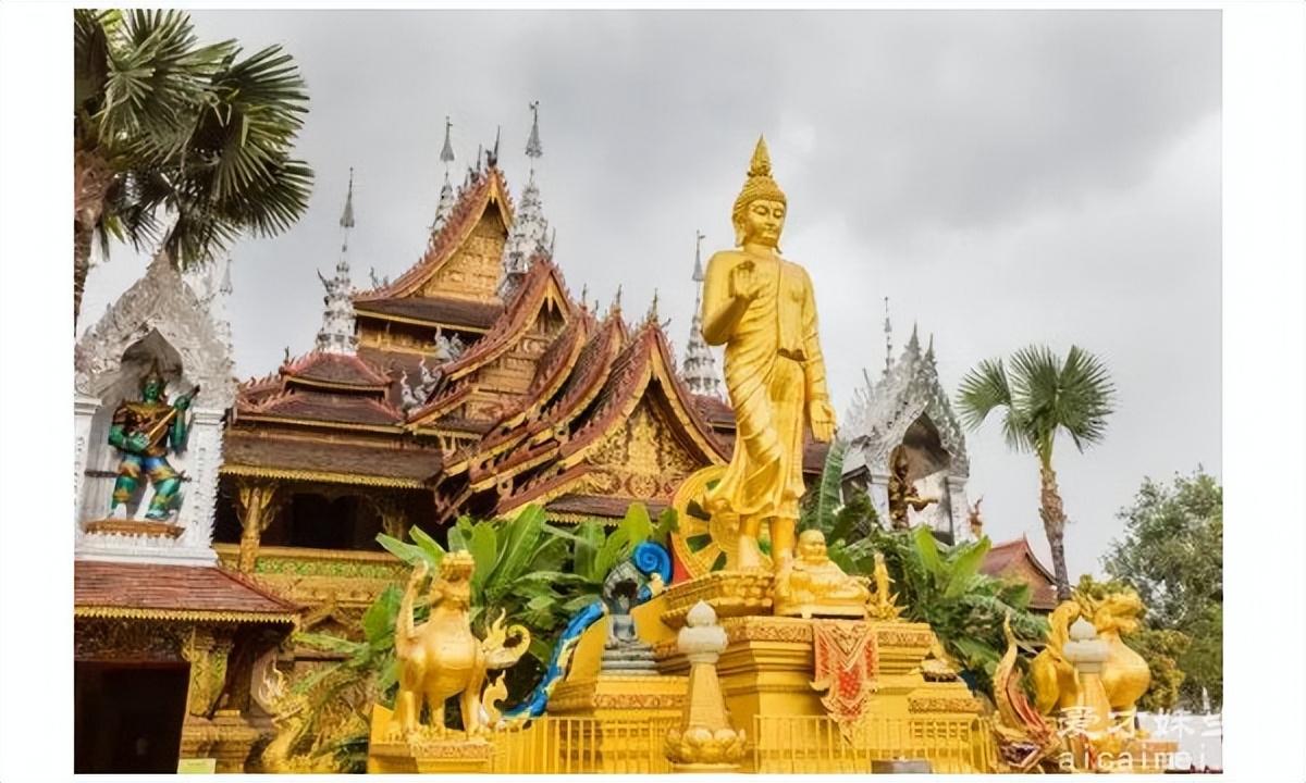 西双版纳几月份去最好（西双版纳最佳旅游季节详解） 第1张