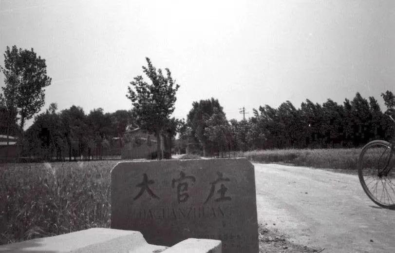 北京大学唯一的终身教授是谁（北大终身教授“季羡林”简介） 第15张