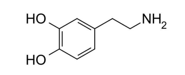 手机将影响体内的多巴胺和皮质醇 第3张