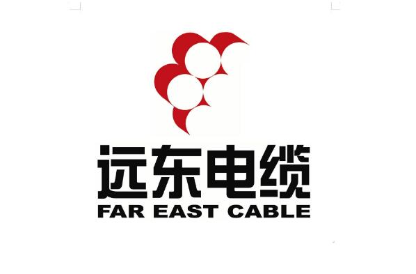 中国十大电线品牌排名,国内十大电线品牌排行榜 第1张