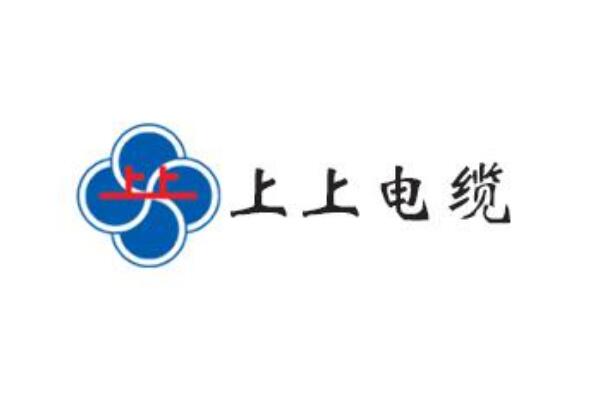 中国十大电线品牌排名,国内十大电线品牌排行榜 第11张
